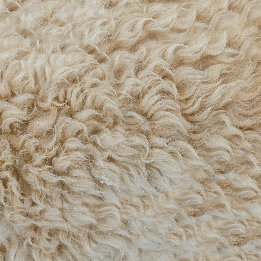 Hochflorteppich-Boden