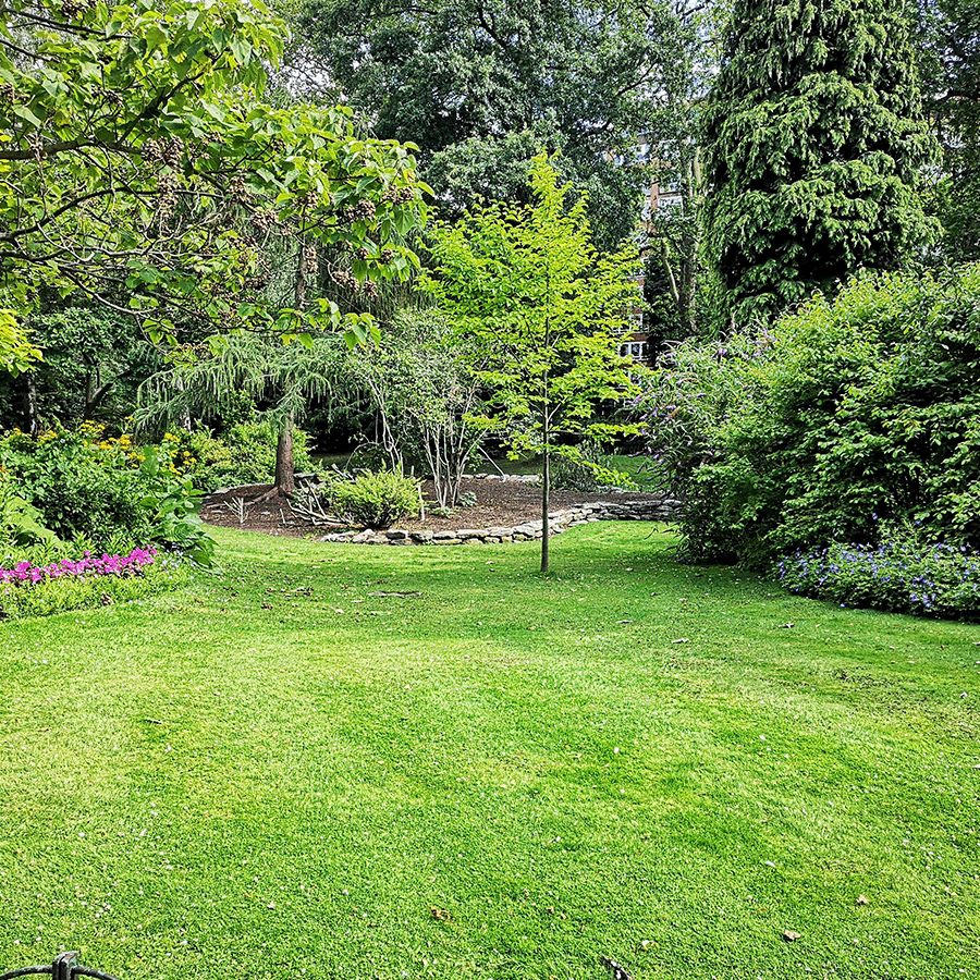 Gartenrasen Beispielbild