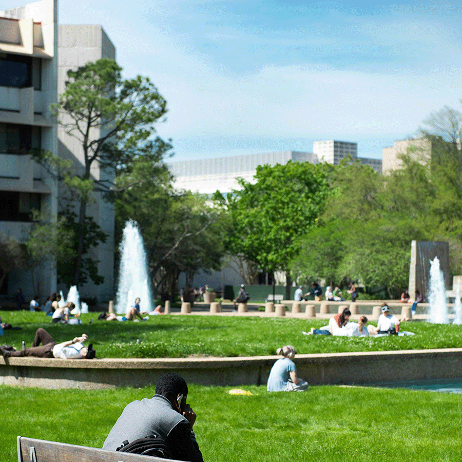 Beispielbild von öffentlichen Rasenflächen