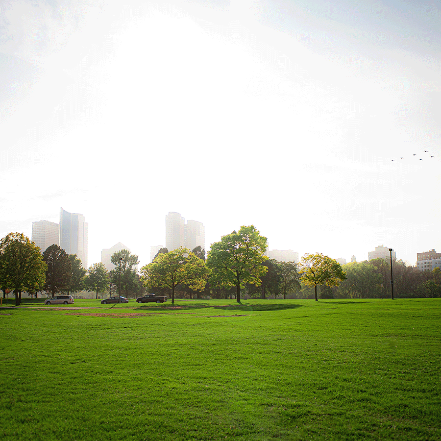 Beispielfoto von gemeinnützigen/kommerziellen Grünflächen